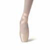 Pointes Rose Merlet