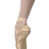 Pointes Prelude Merlet – Image 2